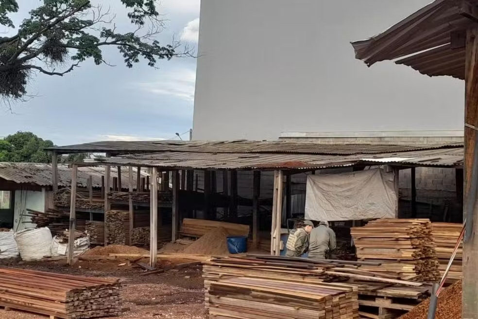 Grupo familiar é alvo de operação por esquema milionário de comércio ilegal de madeira em MT