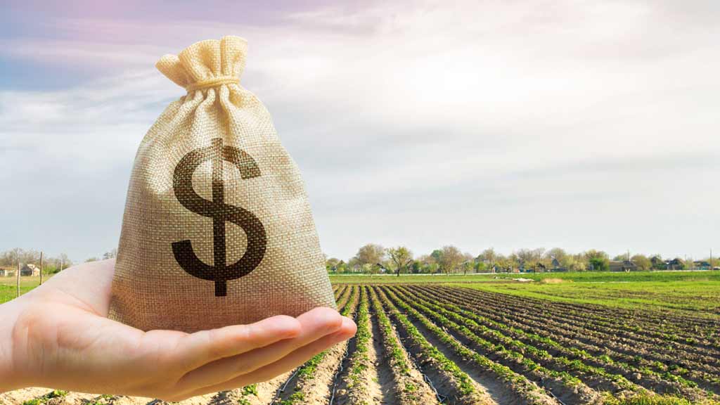 Concessão de crédito rural recua 13% até fevereiro