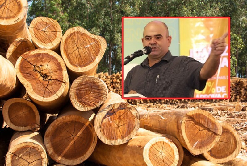 Ex-prefeito e engenheiro são condenados por “lavagem” de madeira ilegal em Mato Grosso