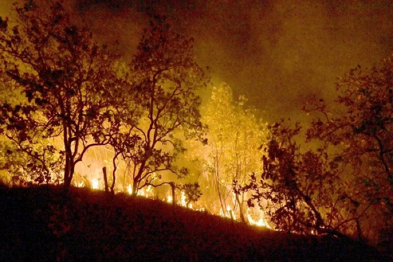 Mato Grosso decreta estado de emergência ambiental e proíbe uso do fogo entre abril e novembro