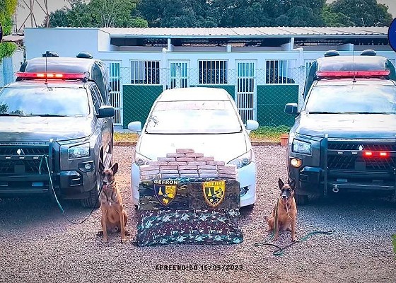 Cães farejadores do Gefron descobrem 26 quilos de cocaína em carro na divisa entre Bolívia e Cáceres
