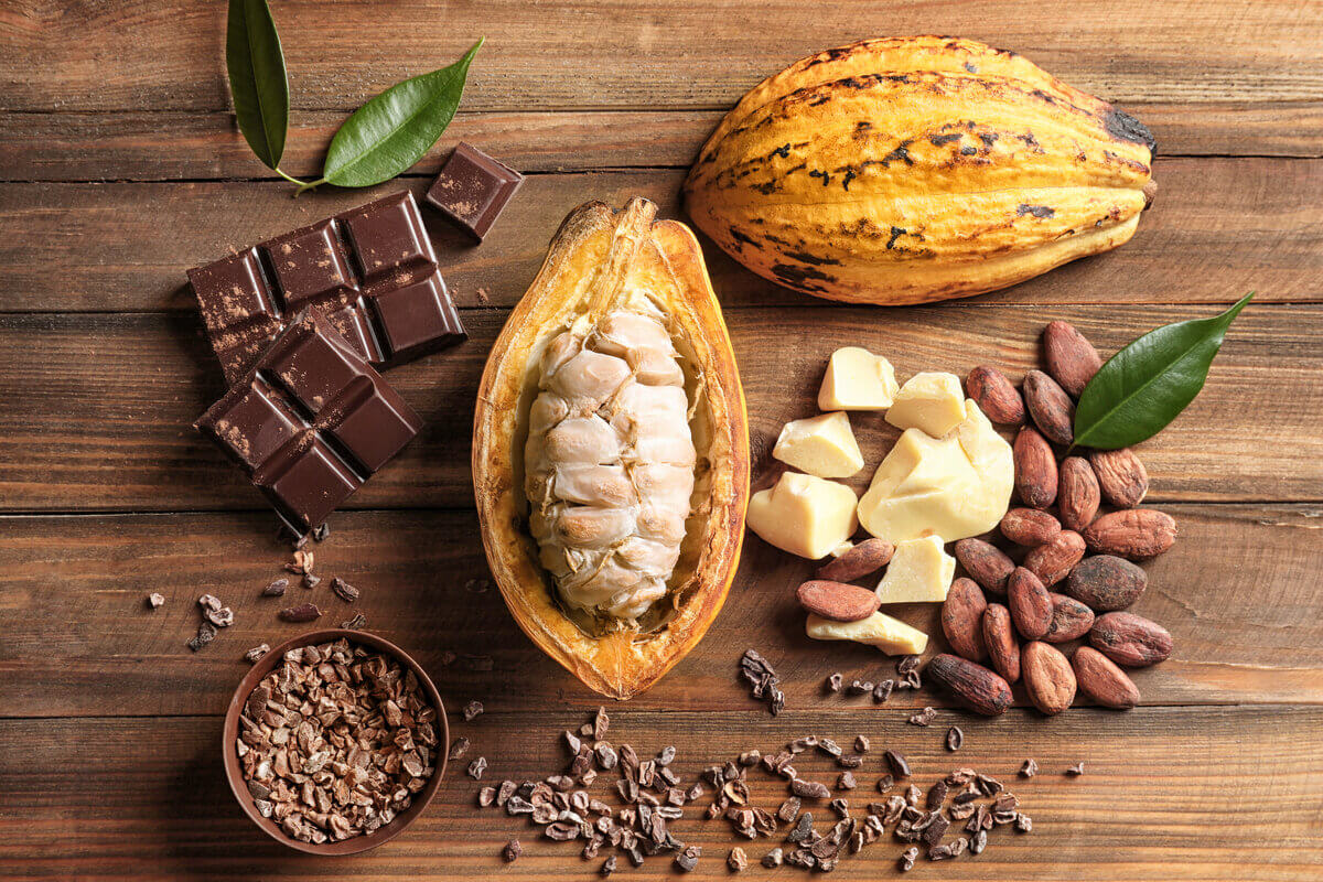Novas regras do chocolate dividem produtores de cacau e indústrias