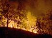 Mato Grosso decreta estado de emergência ambiental e proíbe uso do fogo entre abril e novembro