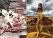 Carne e óleo de soja faz indústria de Mato Grosso disparar e alcançar o 2º lugar do país