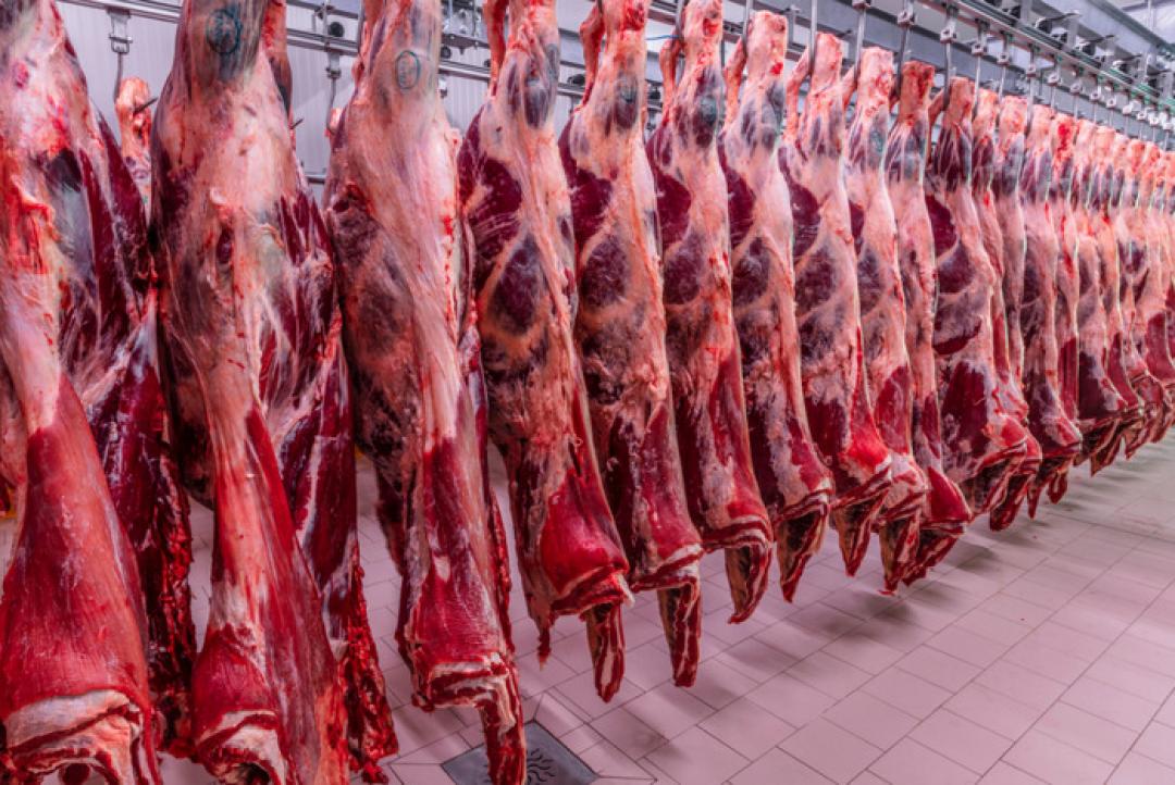 Carne bovina deve enfrentar 'teste sutil' em 2026, segundo frigoríficos