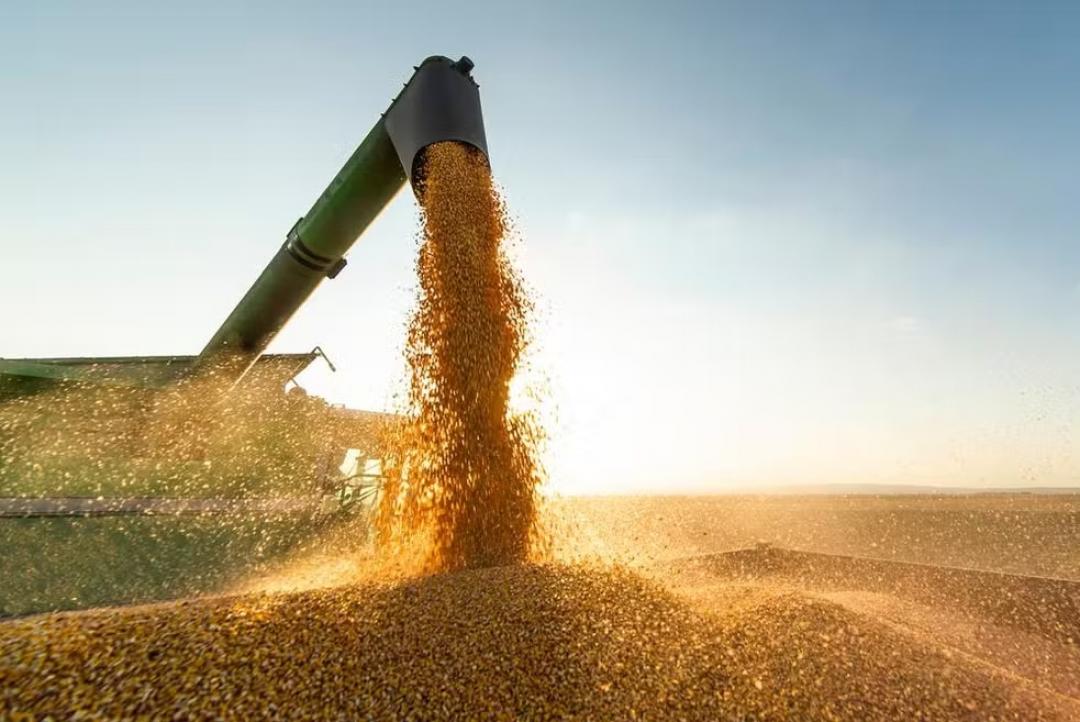 Mato Grosso está entre os 5 estados que mais exportaram em 2025