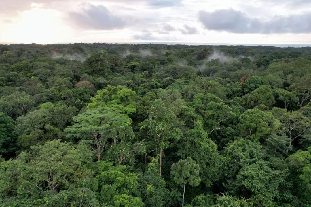 STF suspende demarcação de terra indígena em MT por falta de indenização a proprietários