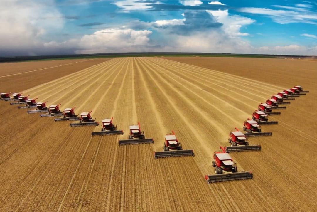 Agro cresceu 11,7% e liderou avanço do PIB brasileiro em 2025, diz IBGE