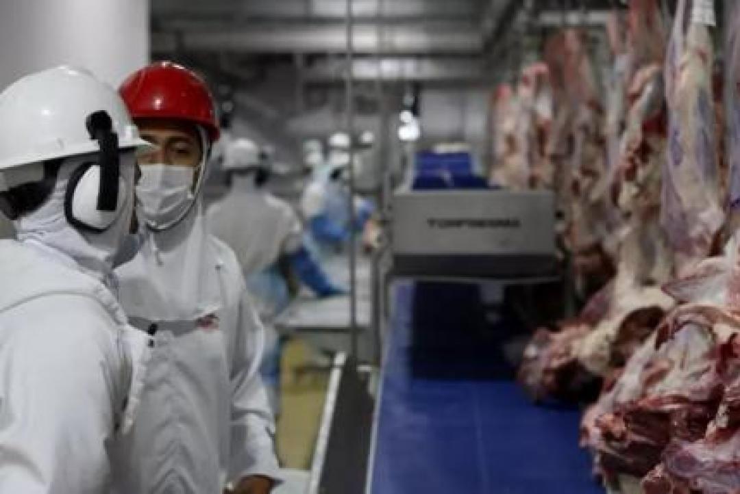 Frigoríficos terão que garantir isenção de 'lavagem de gado' para vender à Europa