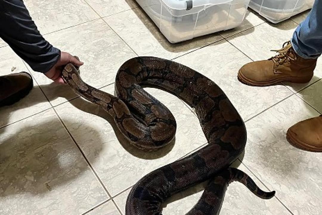 Biólogo mantinha 