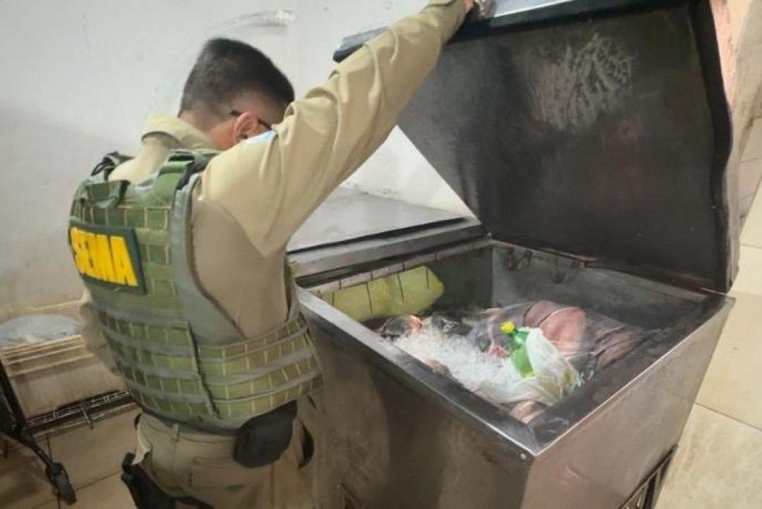 Sema apreende equipamentos proibidos e devolve 56 peixes ao Lago do Manso