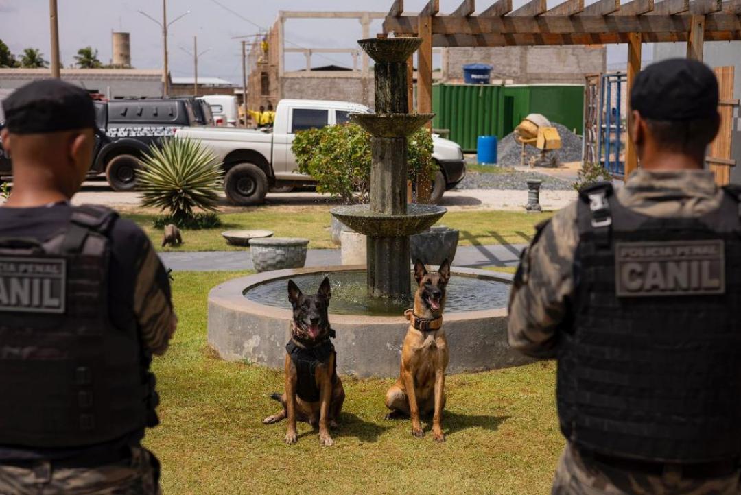 Sejus reúne equipes caninas das forças de segurança para torneio de habilidades em Cuiabá