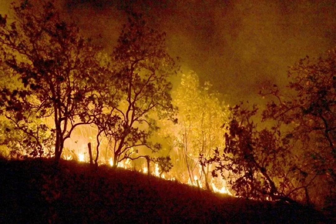 Mato Grosso decreta estado de emergência ambiental e proíbe uso do fogo entre abril e novembro
