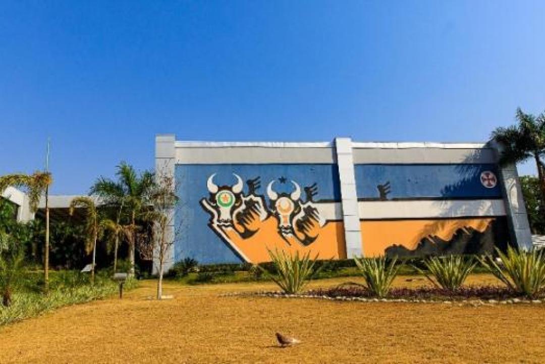 Multa contra agressores de mulheres pode chegar a R$ 1,8 milhão em MT
