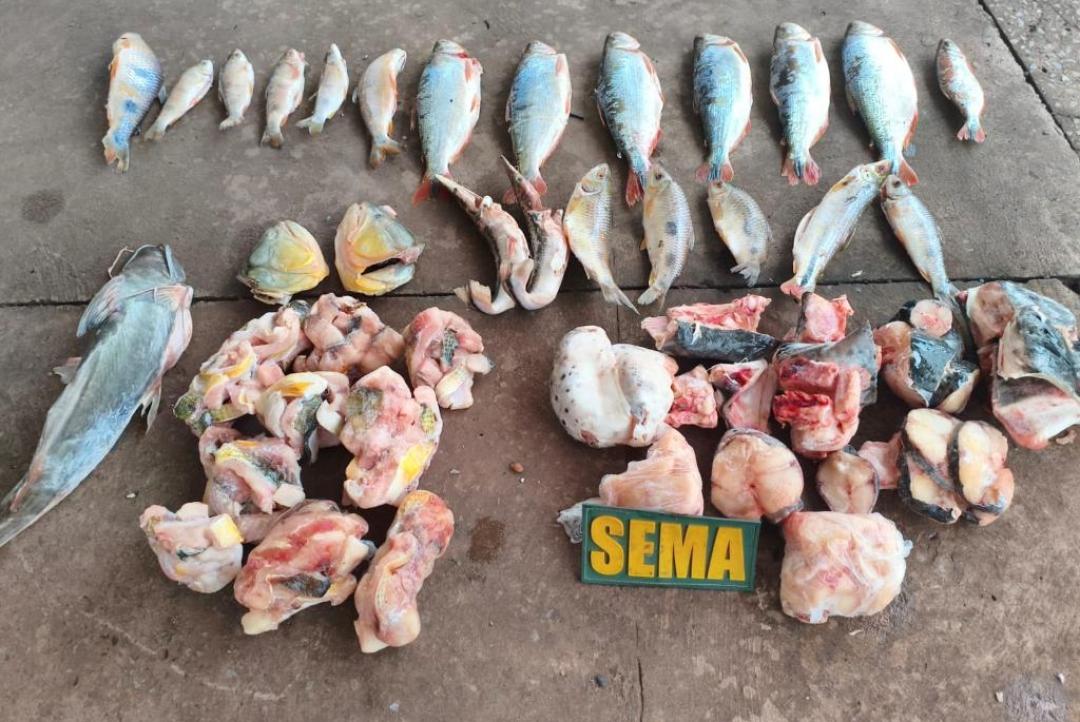 Sema e PM apreendem pescados irregulares em estabelecimento às margens do Rio Cuiabá
