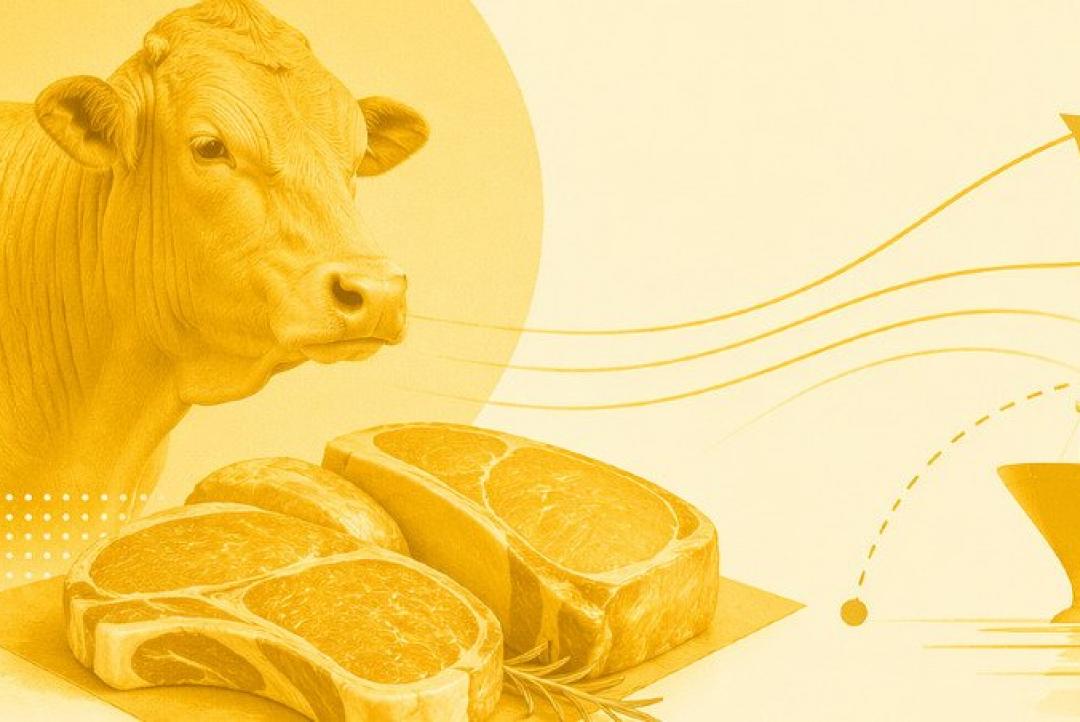 Europa exclui Brasil de lista para exportação de carnes, aves, mel e pescado