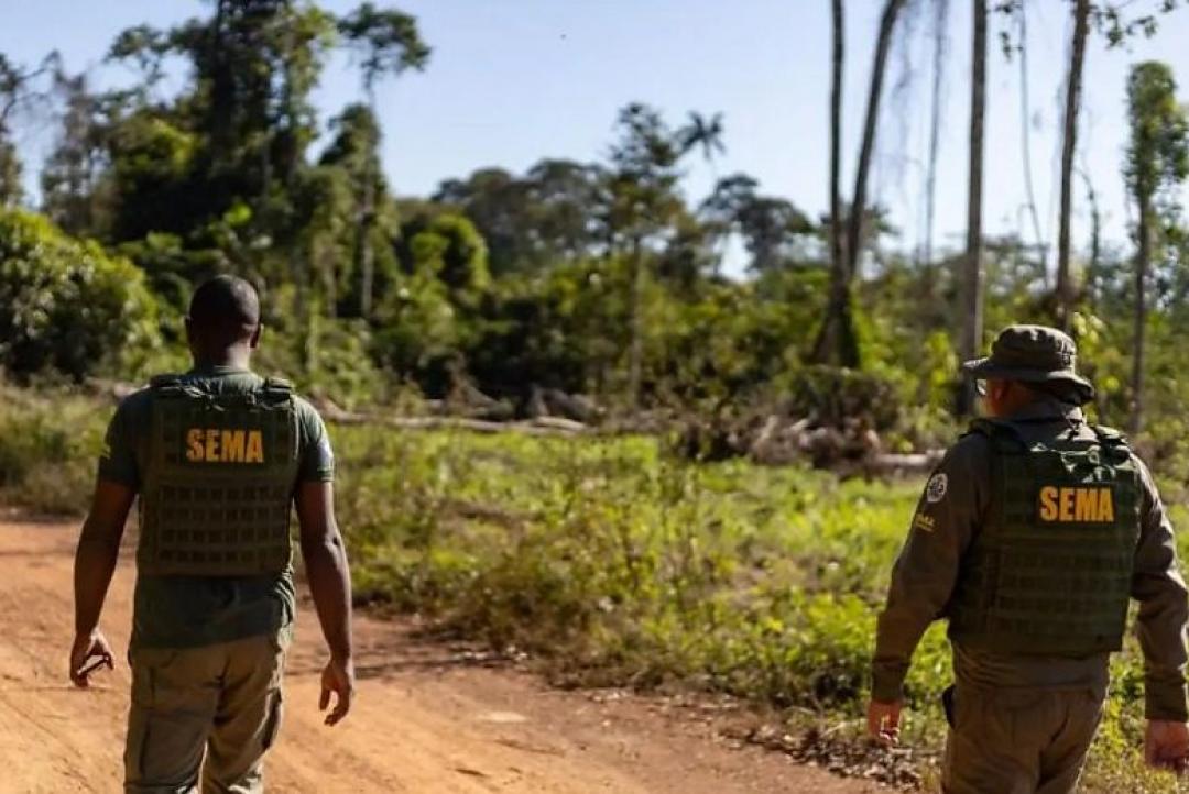 Mato Grosso cria banco de voluntários para salvar animais silvestres em período de estiagem