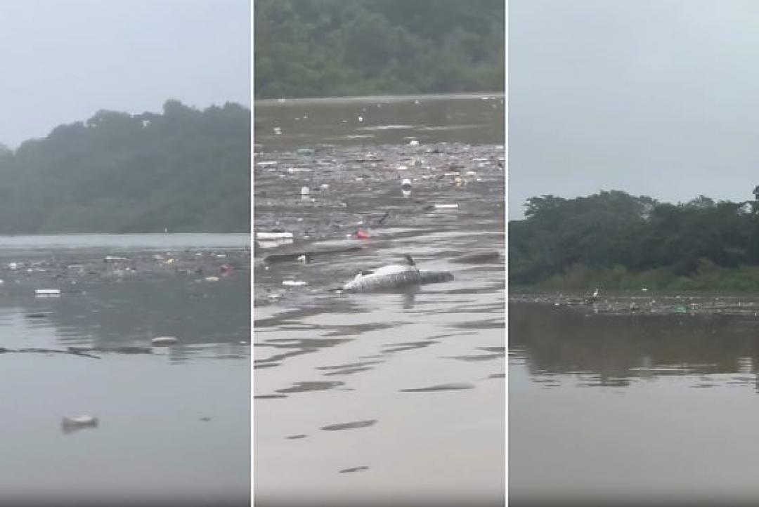 Guia de turismo mostra Rio Cuiabá tomado por lixo e peixes mortos