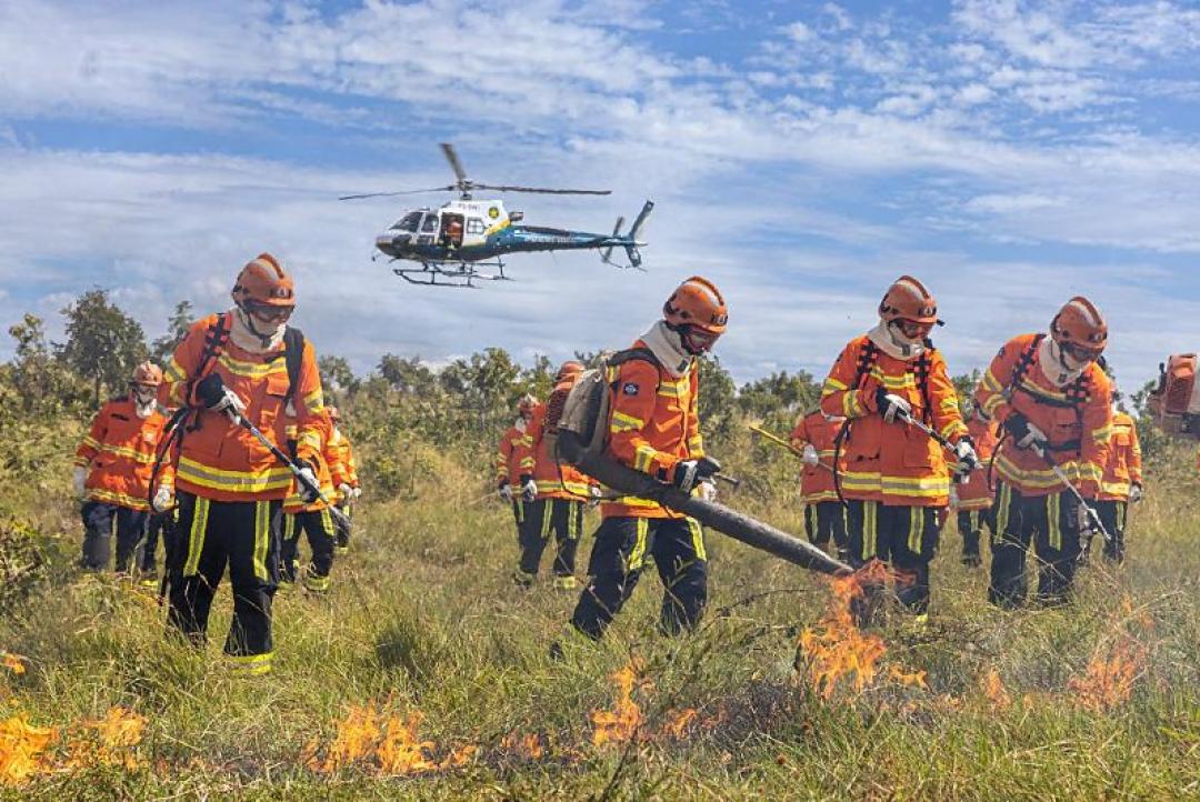 Proibição de queimadas em áreas rurais começa nesta quarta em MT