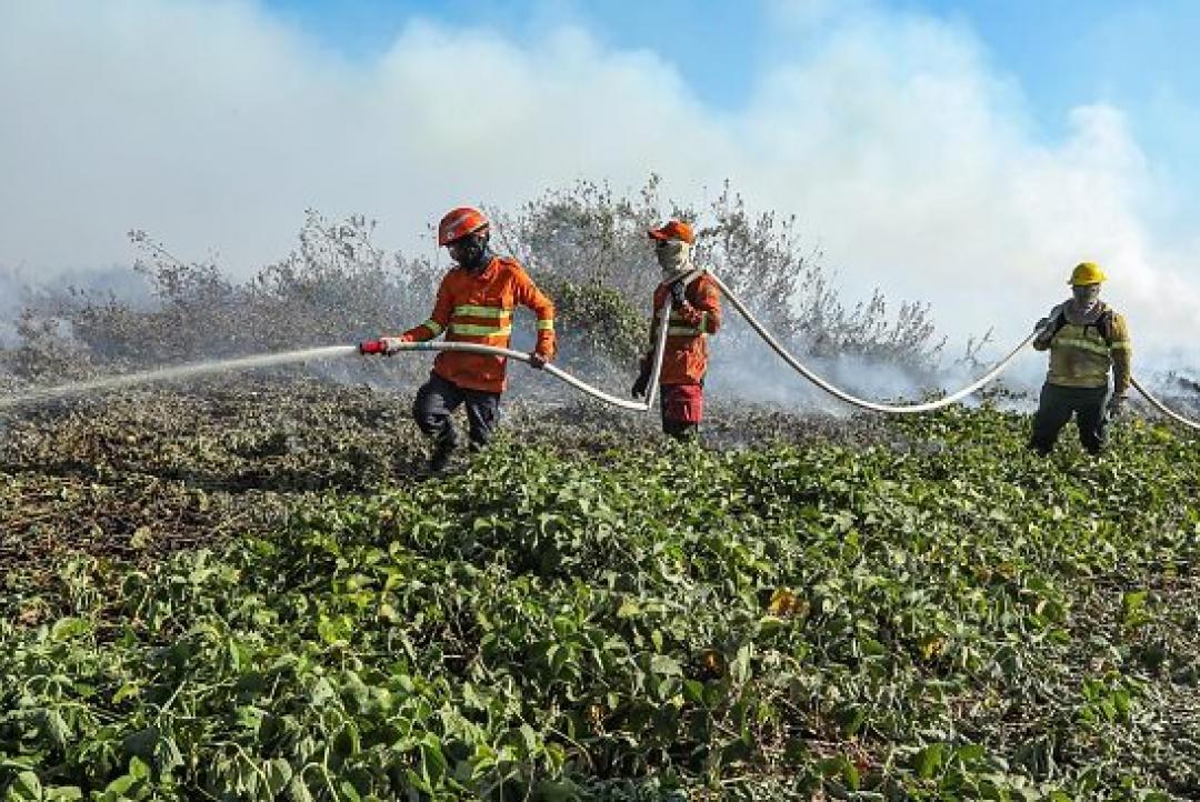 Mato Grosso tem o menor número de queimadas em julho desde 1998