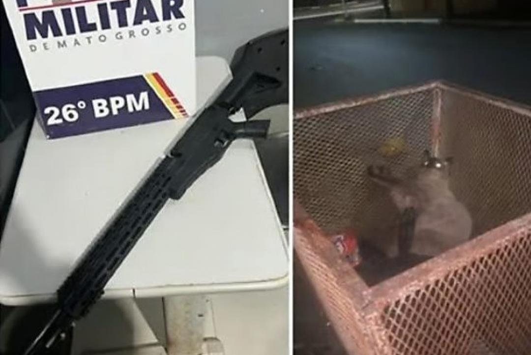 Homem que atirou em gatos com airsoft ganha liberdade sem fiança em Nova Mutum
