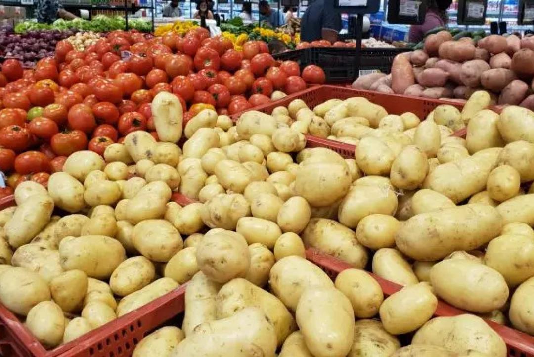Pesquisa aponta redução nos custos da cesta básica em 26 capitais em julho