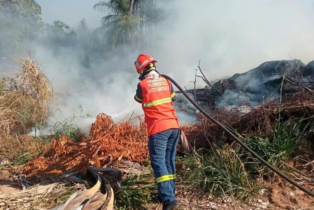 Mato Grosso lidera número de focos de calor no país durante seca