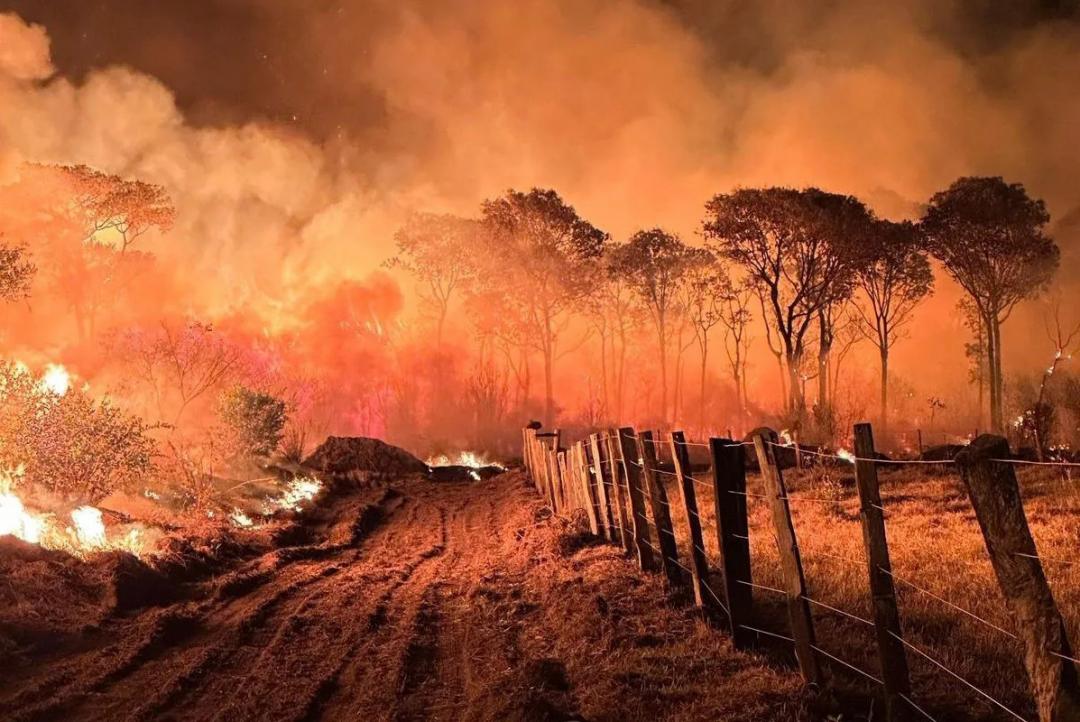 Terras Indígenas concentram quase metade dos focos de calor registrados em Mato Grosso