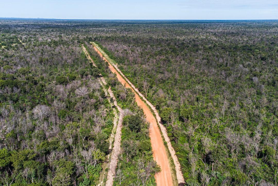 Regras para aceiros no Pantanal são atualizadas e passam a detalhar ações de prevenção e combate a incêndios