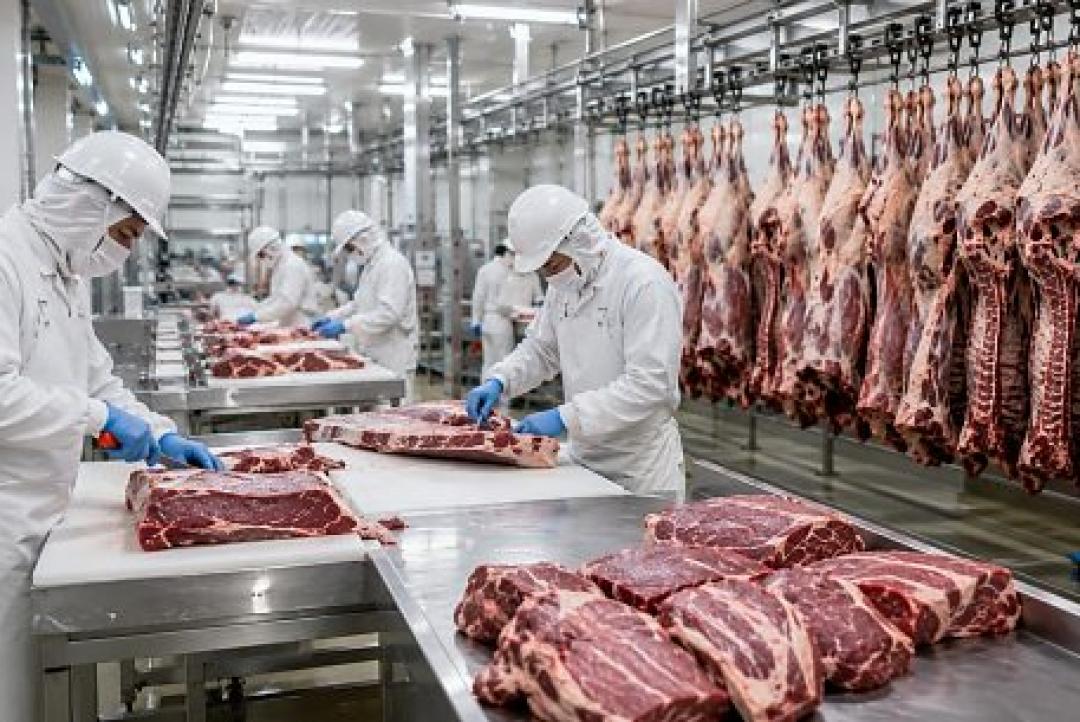 Frigoríficos de MT aumentam exportações de carne bovina para a Espanha em 172% em julho