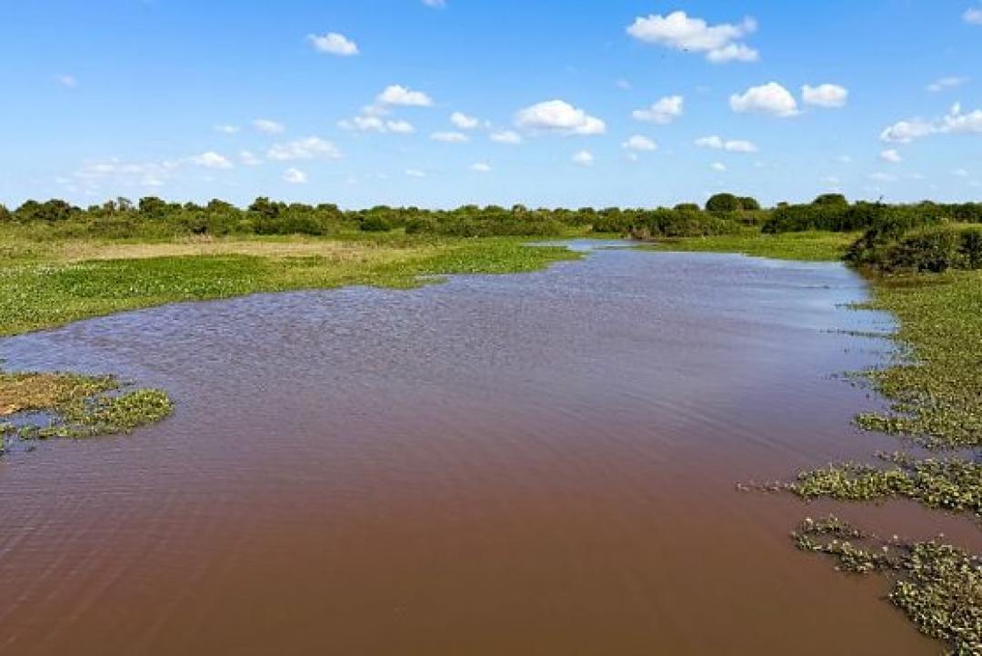 Ministério Público cobra estudos sobre influência da Usina do Manso na seca do Pantanal