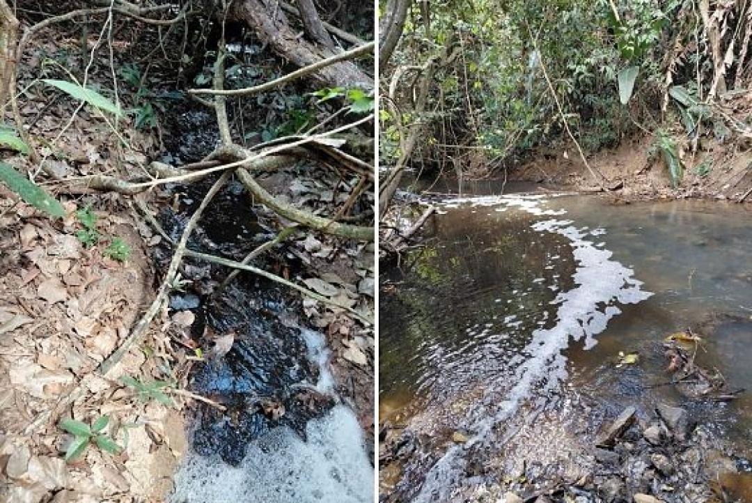 Ministério Público cobra R$ 1 milhão do frigorífico Boa Carne por poluir Rio dos Peixes em Colíder