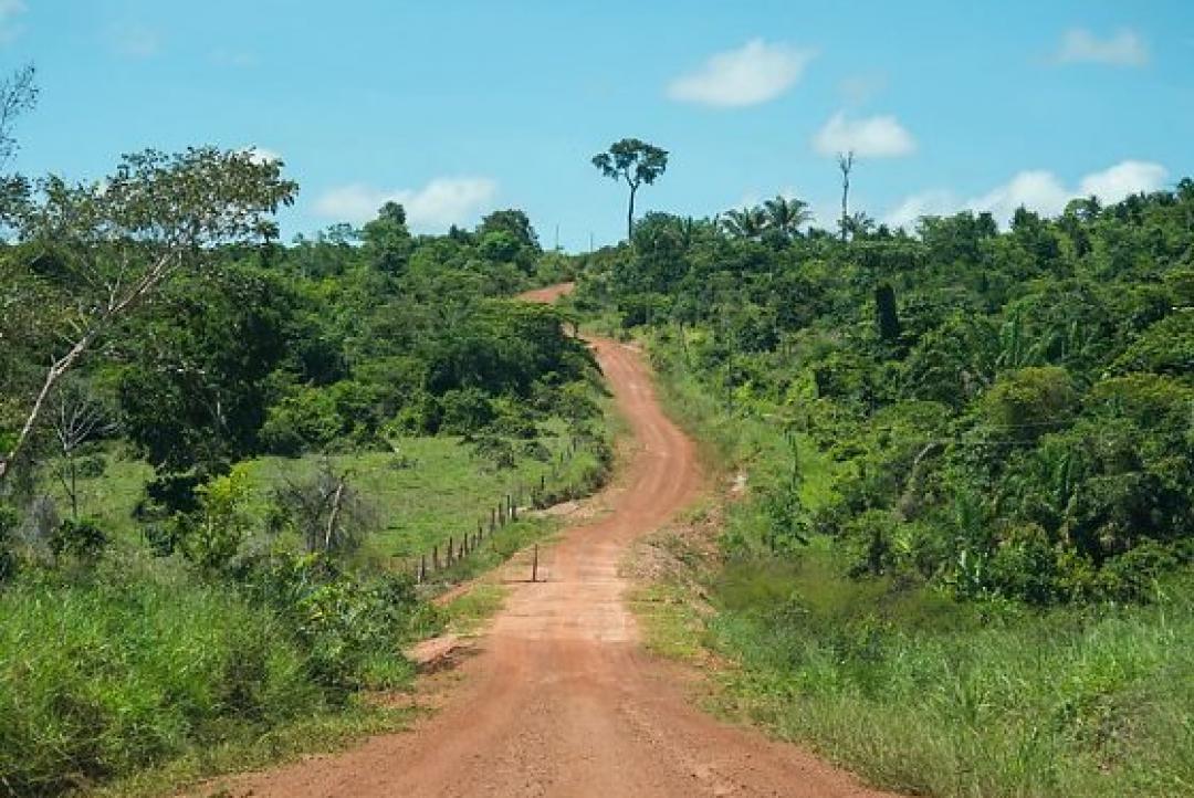 TRF1 mantém demarcação da Terra Indígena Kayabi entre MT e Pará e rejeita pedido de fazendeiros