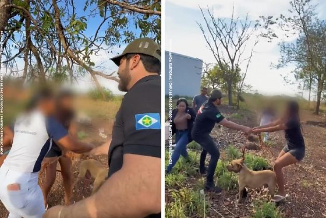 Vereador leva pedradas e apanha ao resgatar cães em situação de abandono em VG; mulher foi presa