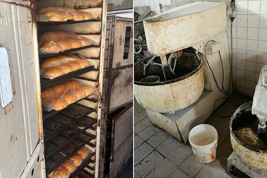 Padaria clandestina é flagrada produzindo pães em meio à crostas de sujeita em Cuiabá; vídeos