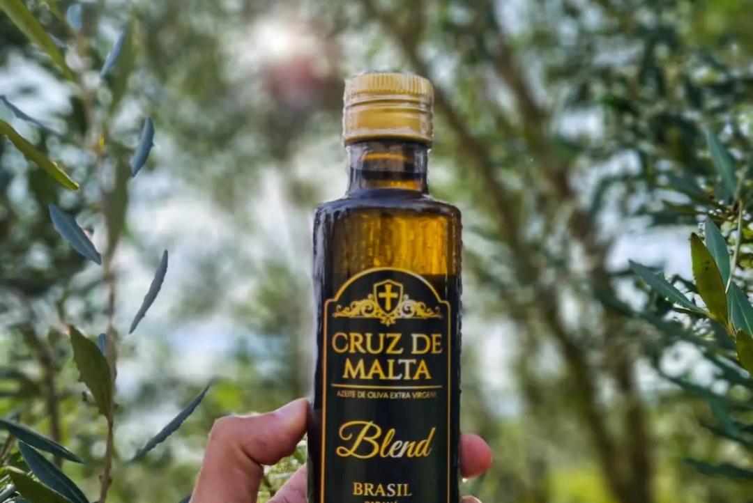 Conheça o azeite brasileiro que fez história em competição na Argentina 