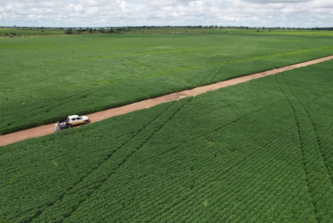 TCU determina revisão de atestado para acesso a recursos do crédito rural 