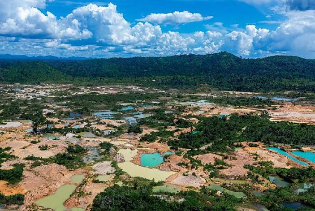 Dez pessoas, entre empresários e pilotos, viram réus por esquema de ouro ilegal na Amazônia; veja nomes