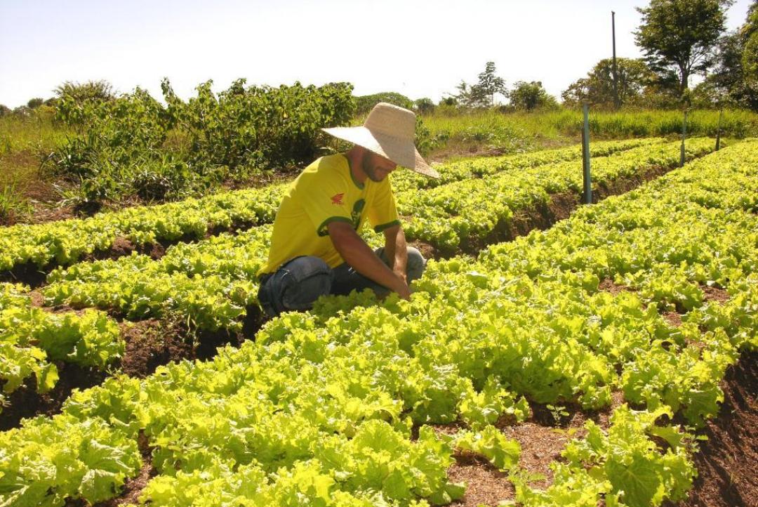 Sefaz reduz tempo para liberação de inscrição estadual de micro e produtores rurais