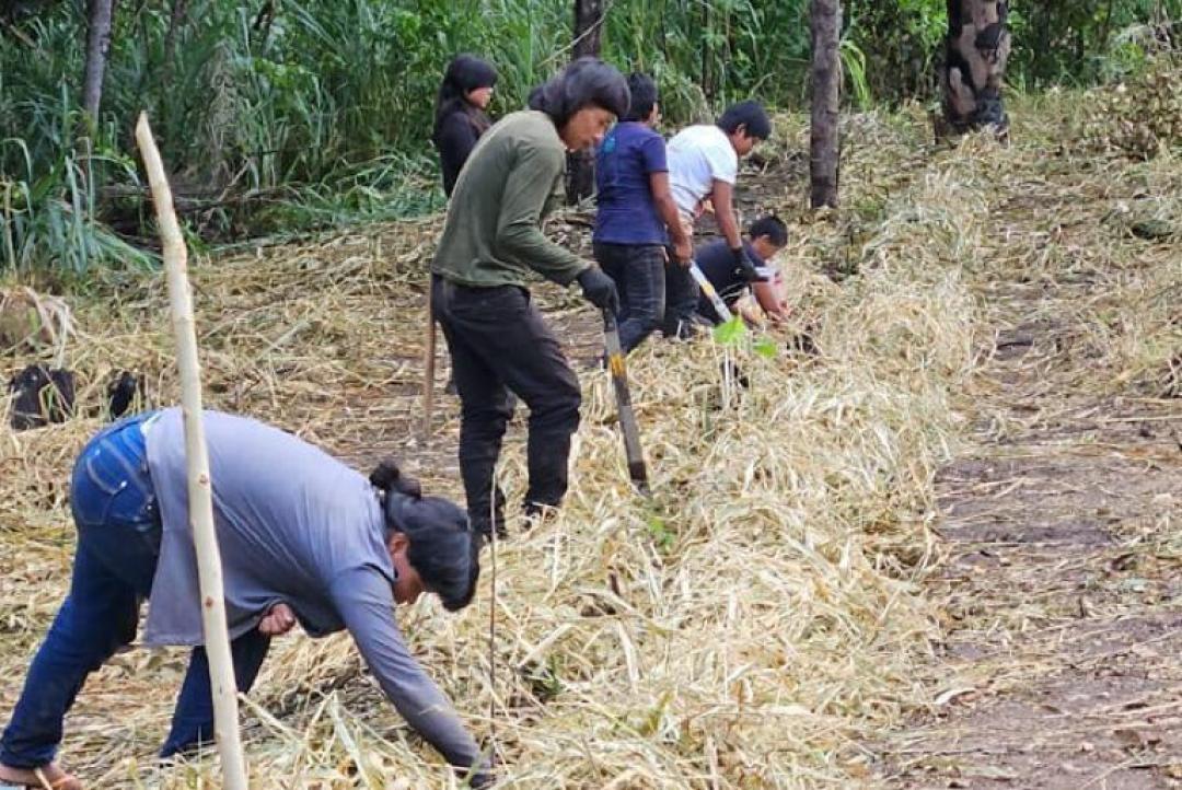 Governo de Mato Grosso investe R$ 1,5 milhão para fortalecer produção indígena Xavante