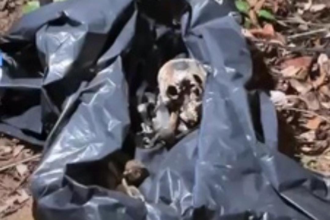 Ossada é localizada em região de mata em Sinop