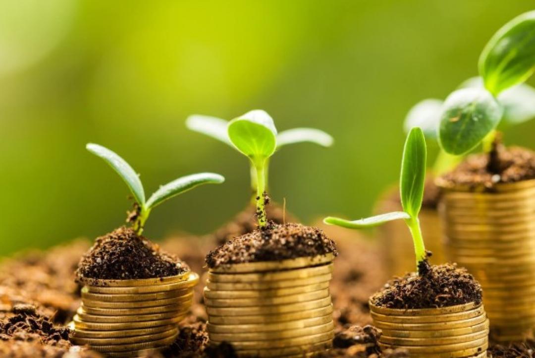 Renegociações de dívidas rurais levam R$ 90 bi de crédito da safra