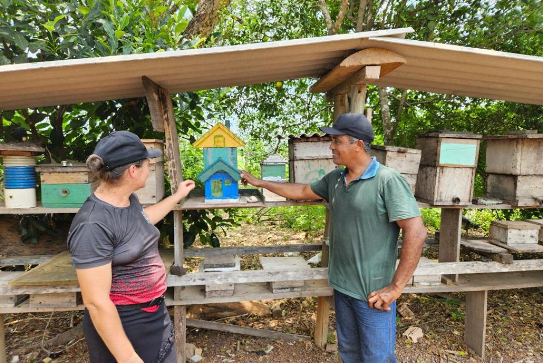 Produção de mel ganha força em Carlinda com apoio da Seaf e da Empaer e se torna alternativa de renda e conservação ambiental