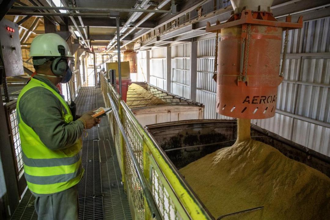 Governo de MT regulamenta uso de créditos de ICMS para produção de etanol e reforça regras fiscais