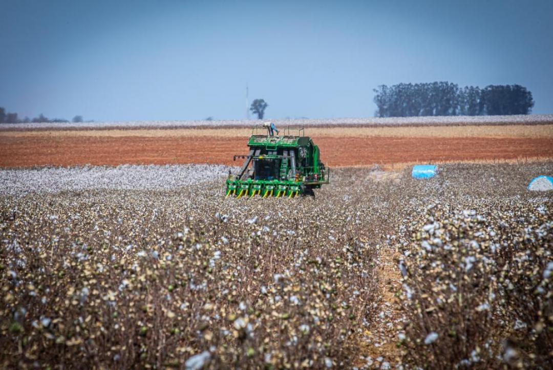 Governo de MT prorroga diferimento do ICMS para fertilizantes e mantém benefício até dezembro de 2026