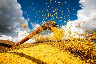 Ipea revisa de 13,2% para 15,5% o crescimento do PIB agro em 2023