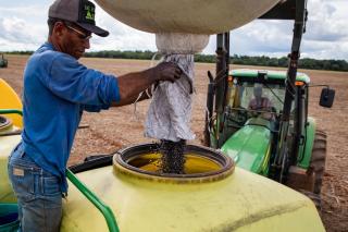 Agropecuária gera mais de 10 mil empregos em Mato Grosso e destaca Estado no cenário nacional