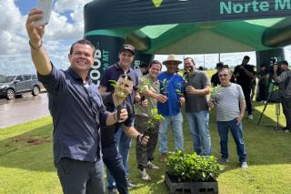 Prefeitura e Sicoob Norte MT realizam plantio de 2 mil mudas de árvores em Sinop