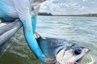 Empresários relatam mais turistas e alta no faturamento após dois anos da legislação
