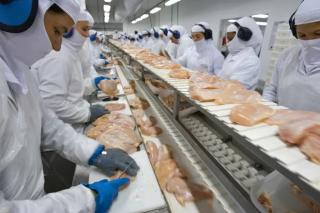 Exportação de carne de frango do Brasil deve crescer em março apesar de guerra, diz ABPA
